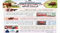 تب کریمه کنگو؛ بیماری خطرناک اما قابل پیشگیری